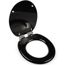 Toilet seat with soft close mechanism black