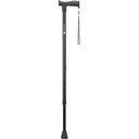walking stick