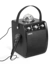 Disco speaker with microphone