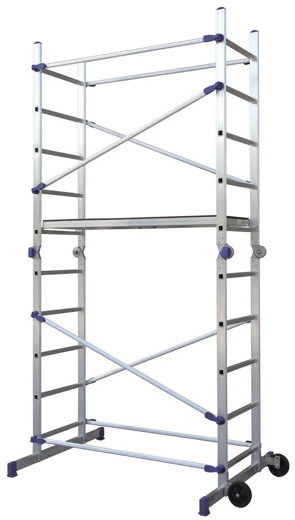 Pinna multifunctional scaffold