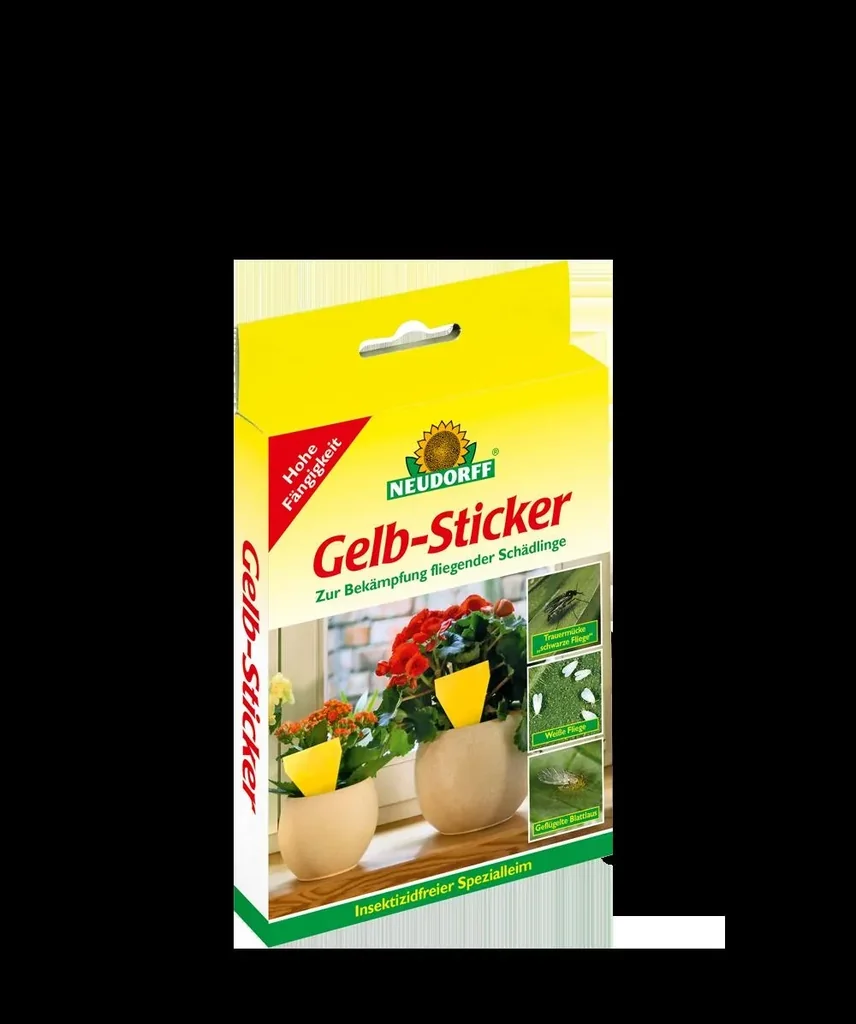 Yellow sticker