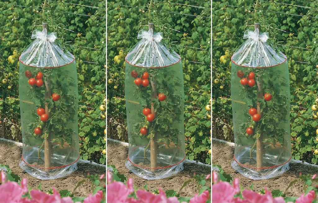 Tomato protective covers (set of 3)