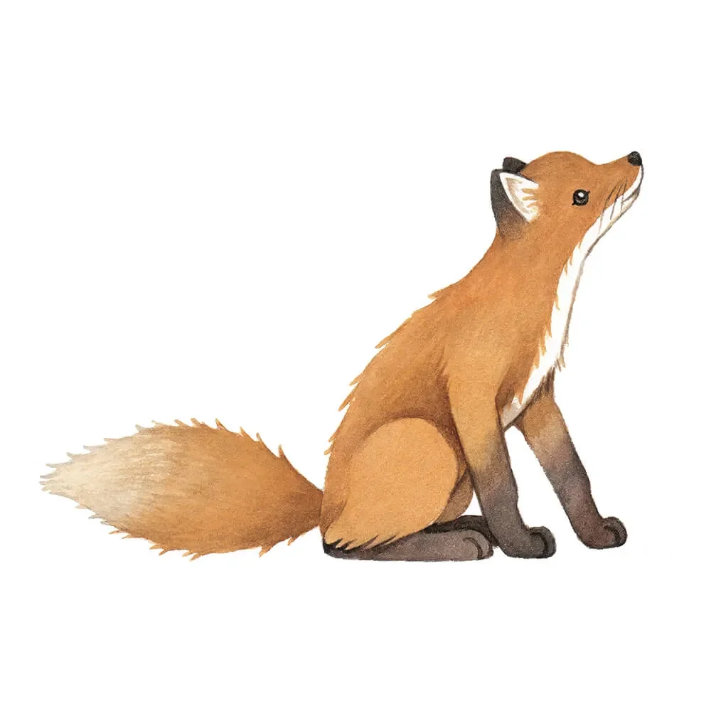 Lilipinso Wall Sticker Big Fuchs Orange
