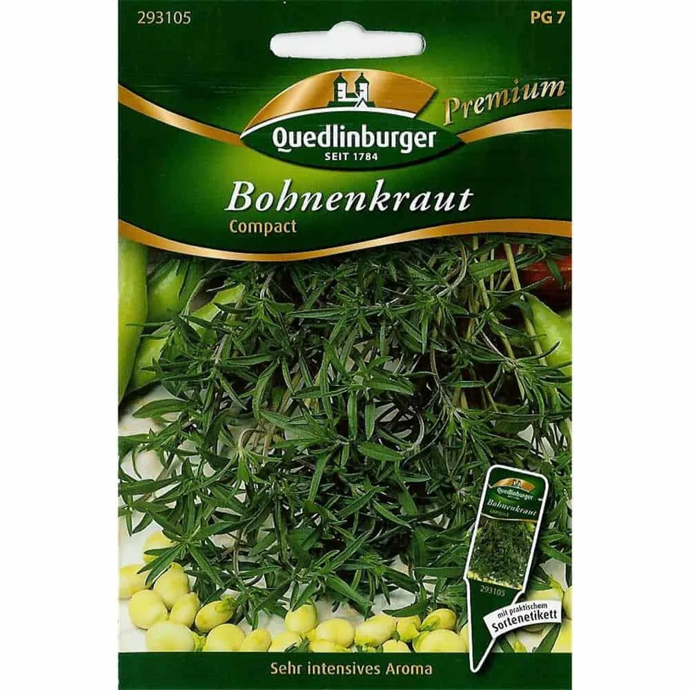 Perennial Mountain Savory HerbKitchen Herbs