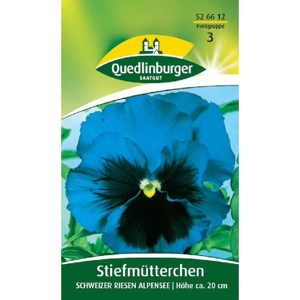 Buy Pansies: Winter Hardy Pansy Flowers for Balcony & Garden