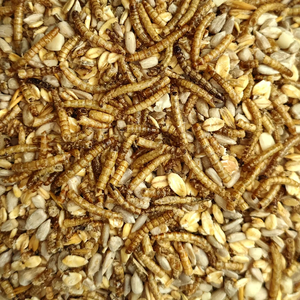 Wild Bird Food 20 kg, Deluxe No Waste Bird Seed with Mealworms for Wild Birds