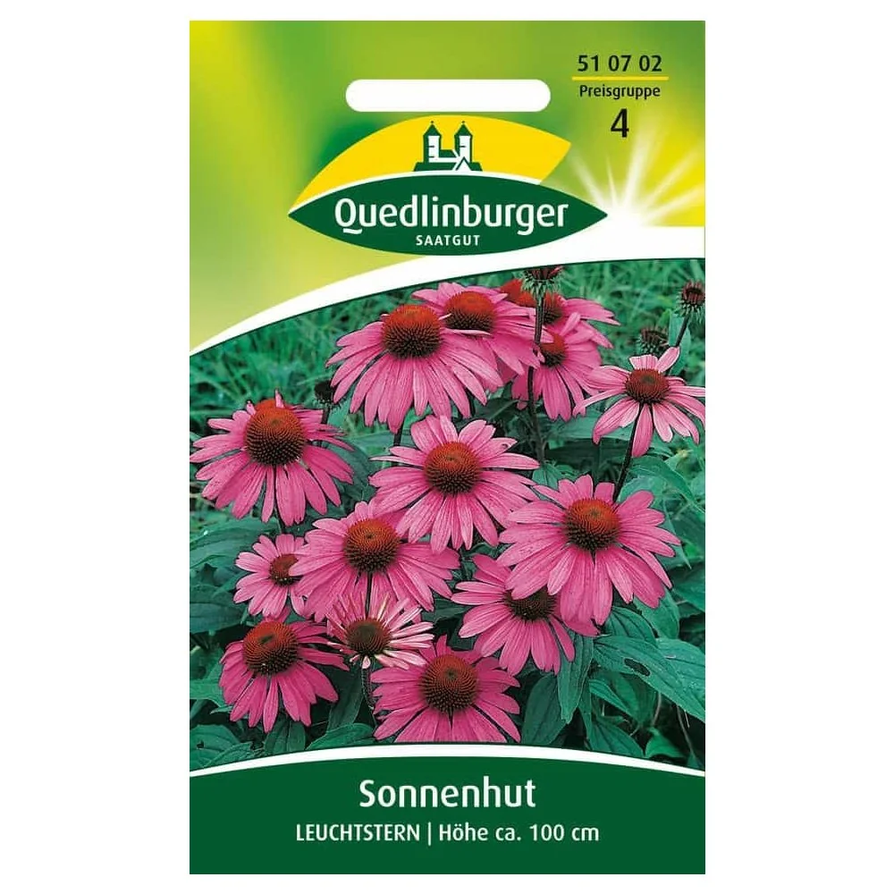 Rudbeckia 'Leuchtstern' - Yellow Perennial Sunflower for Your Garden