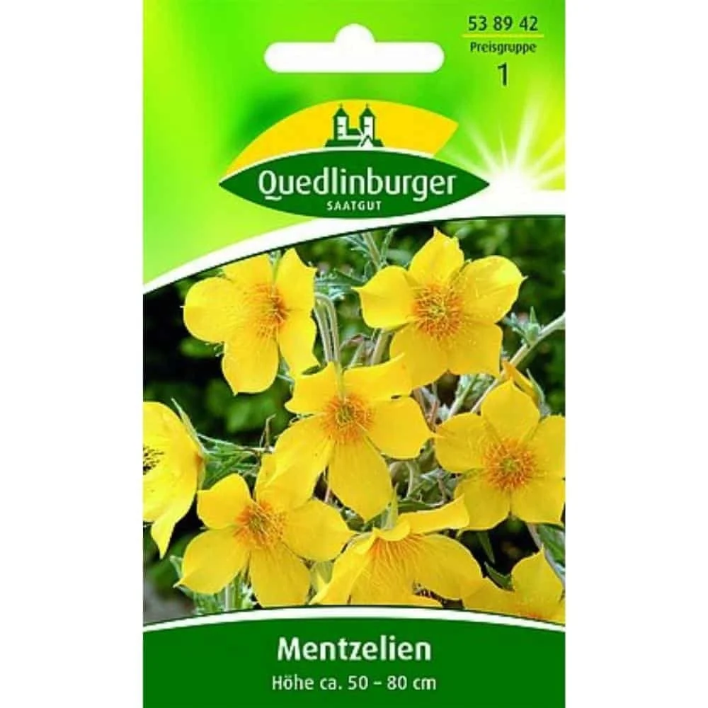 Mentzelia Lindleyi Seeds - Goldstern, Bee-Friendly, Fragrant Summer Blooms