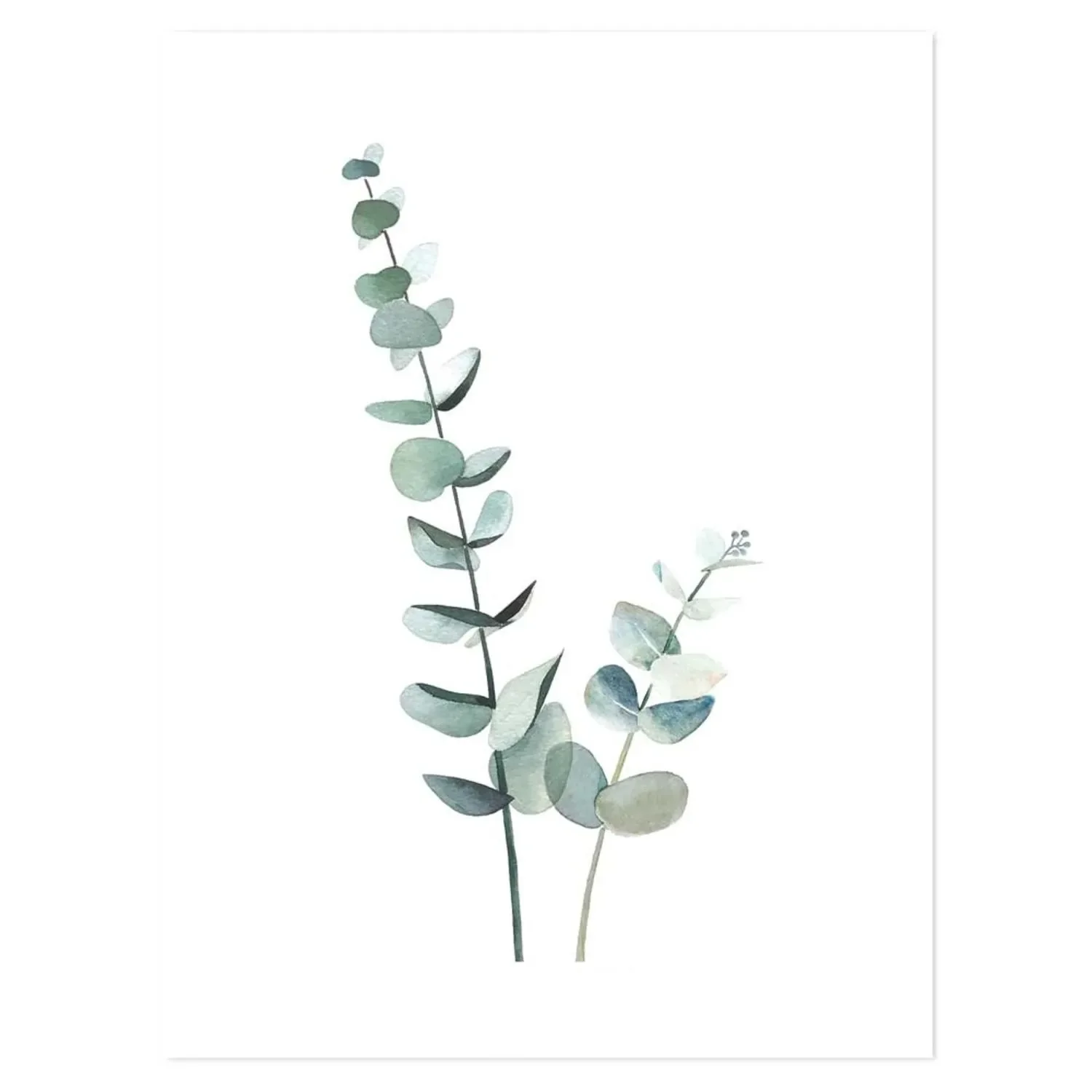 Lilipinso poster eucalyptus tender green