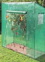 Tomato greenhouse "Large", approx. 200 x 77 x 170 cm, LxWxH