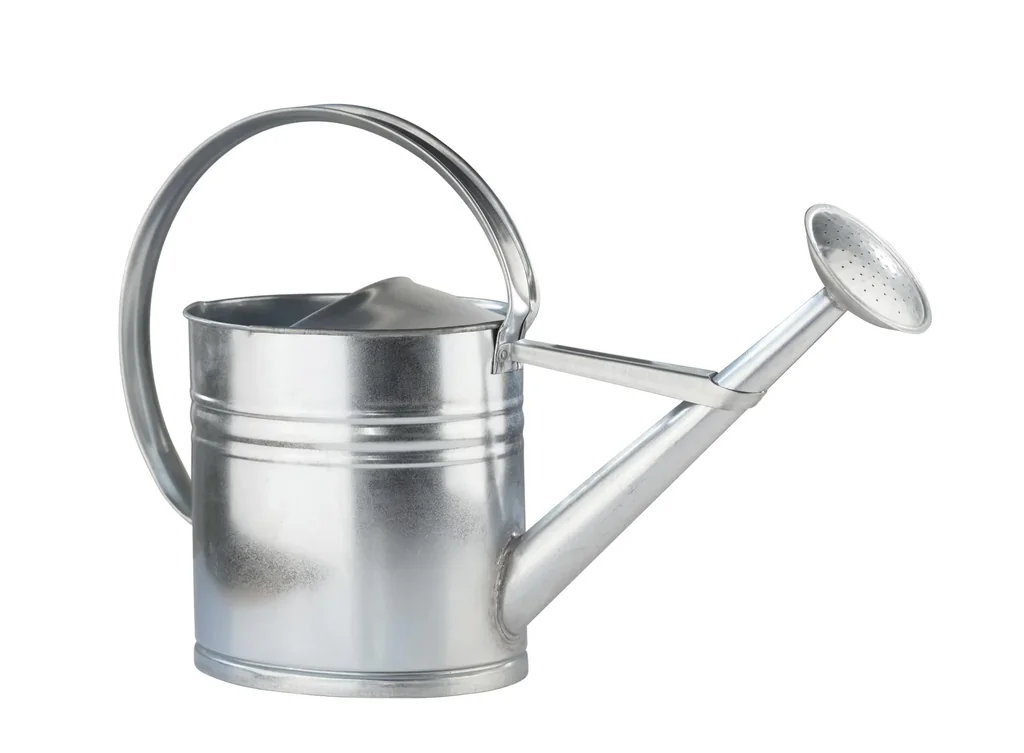 galvanized watering can 10 L