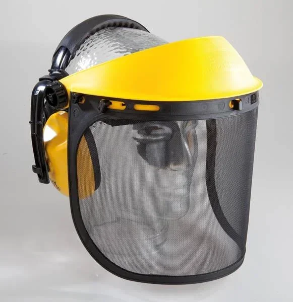 Hearing and face protection, with wire visor