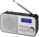 Portable DAB+ radio