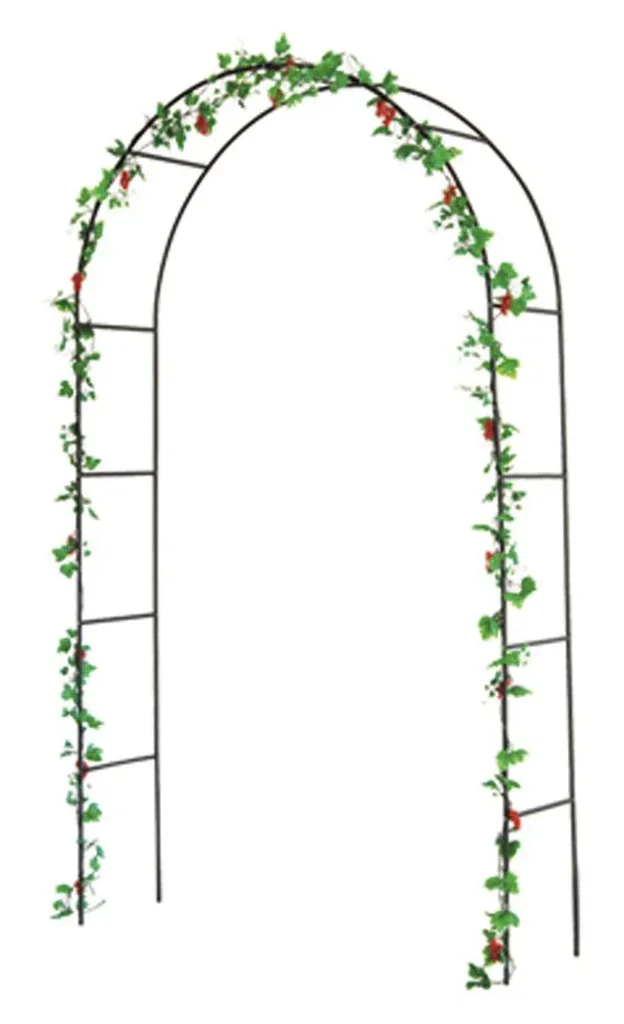 Rose Arch