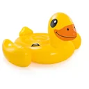 inflatable duck