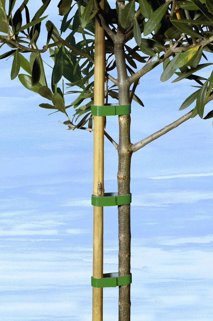 Planting tape 5 m