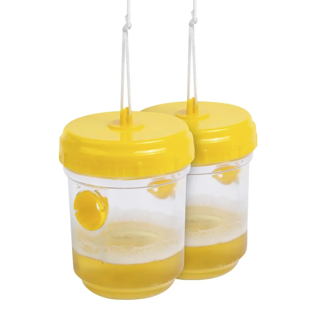 Wasp trap set of 2