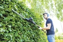 2-in-1 electric hedge trimmer, with telescopic extension, 710 watts, "TPX710 ProCut"