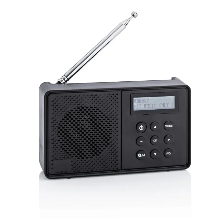 Portable DAB radio