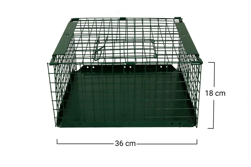 Net trap with catch basket