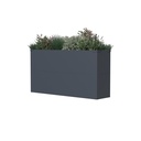 Westmann Planter Box Talus L Metal anthracite