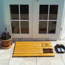 Doormat with brushes