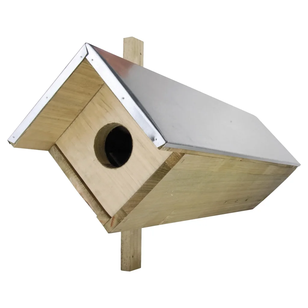 Little owl box