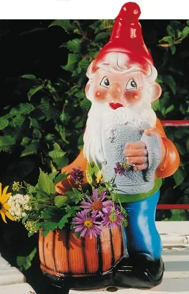 Dwarf as a dwarf 40 cm