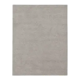 Carpet Size image