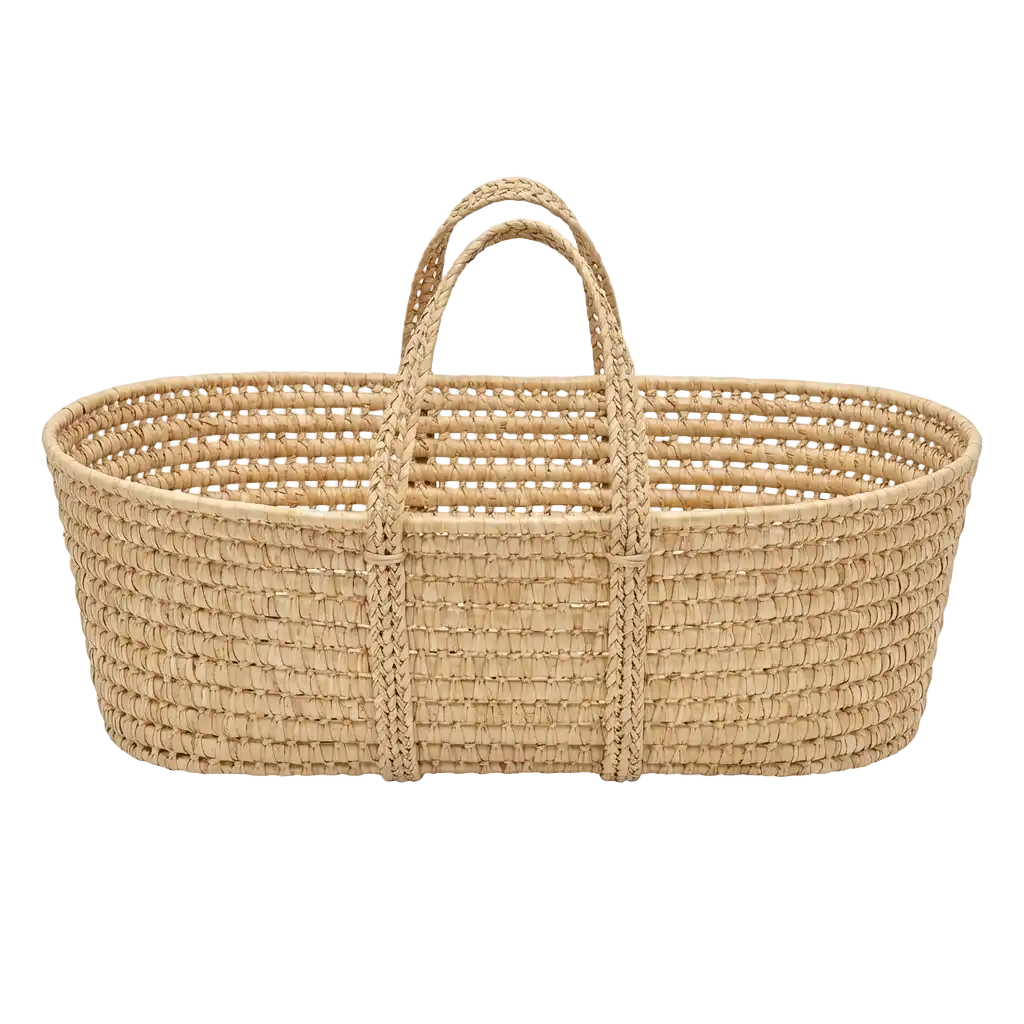 Baby Basket image