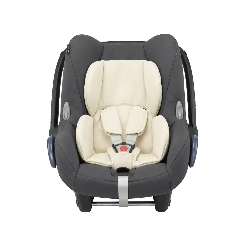 Child Seat image