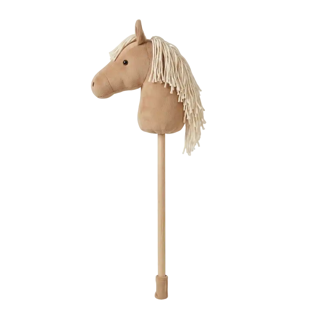 Hobby Horsing - Stick Horses image