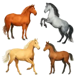 Horses image