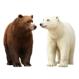 Bear & Polar Bear image