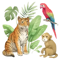 Jungle image