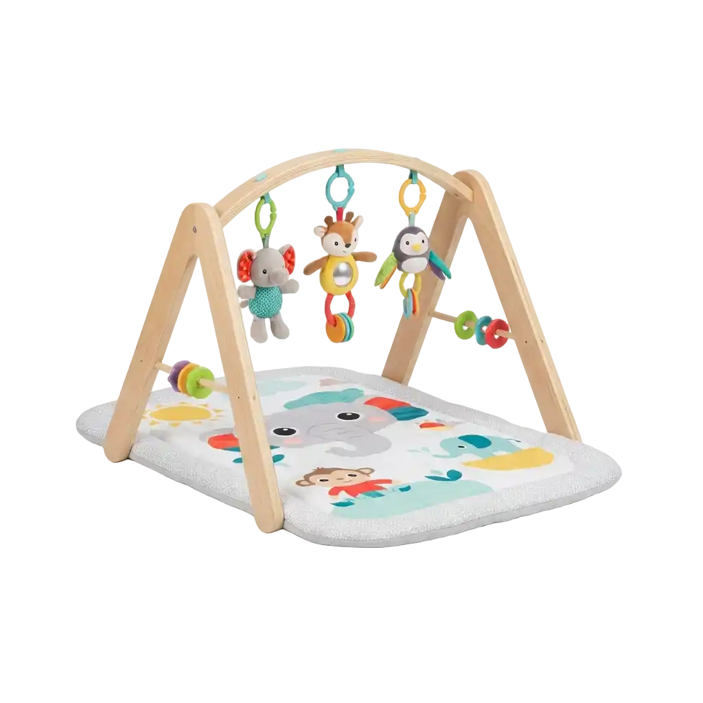 Play Mat with Play Arch image