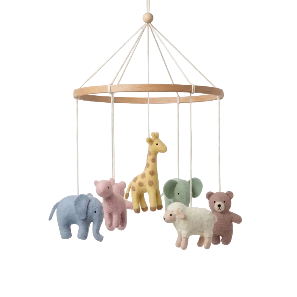 Decoration & Accessories image