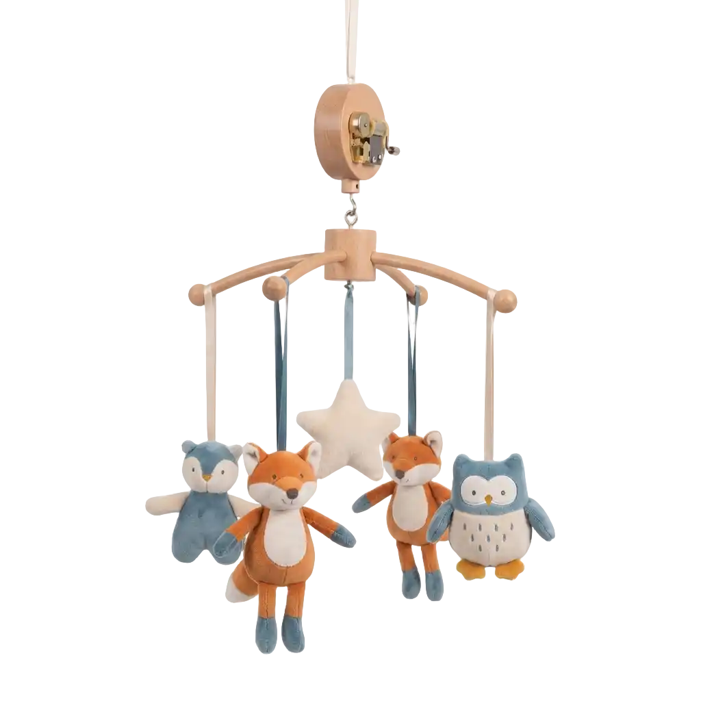 Moulin Roty Music Boxes image
