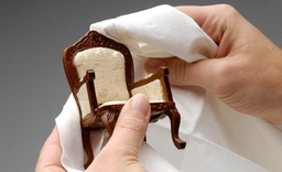 Upholstery Cleaner image