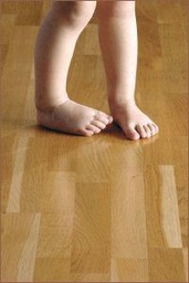 Floor Cleaner image