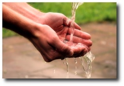 Cleaners & Appliance Cleaners image