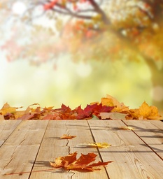 Floor Cleaning Products image