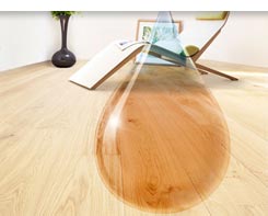 Oiled Wood Floor Cleaner image