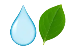 Eco Friendly Cleaning Products image