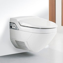 Toilet Bowl Cleaner image
