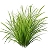 Lawn Fertilizer image
