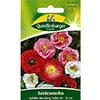 Seeds + Seedlings image