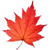 Autumn Lawn Fertilizer image