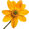 Flowers + Plant Fertilizer image