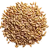 Grass Seeds image